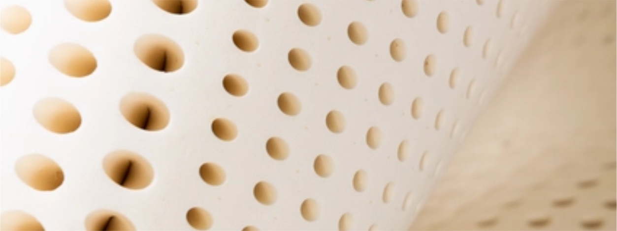 Organic Mattress Headquarters Twelve (12) Inch Organic Latex Mattress Tempe Electropedic